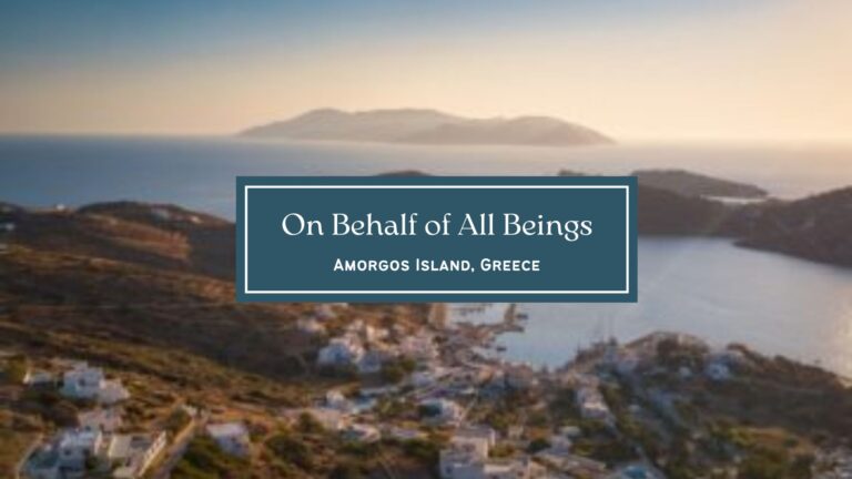 On Behalf of All Beings Retreat